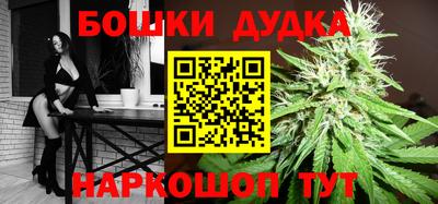 стафф Будённовск