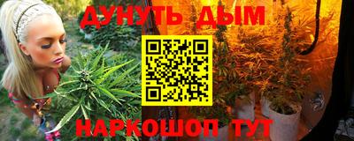 стафф Будённовск