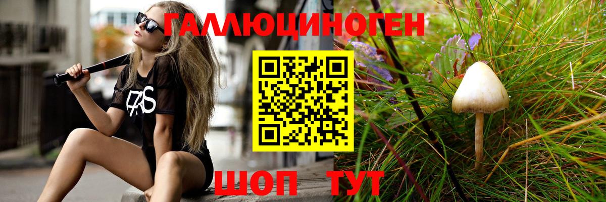 Галлюциногенные грибы Psilocybe Заринск